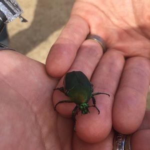 Meet your Posher, Charlene